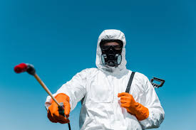 Trusted Luling, TX Pest Control Experts